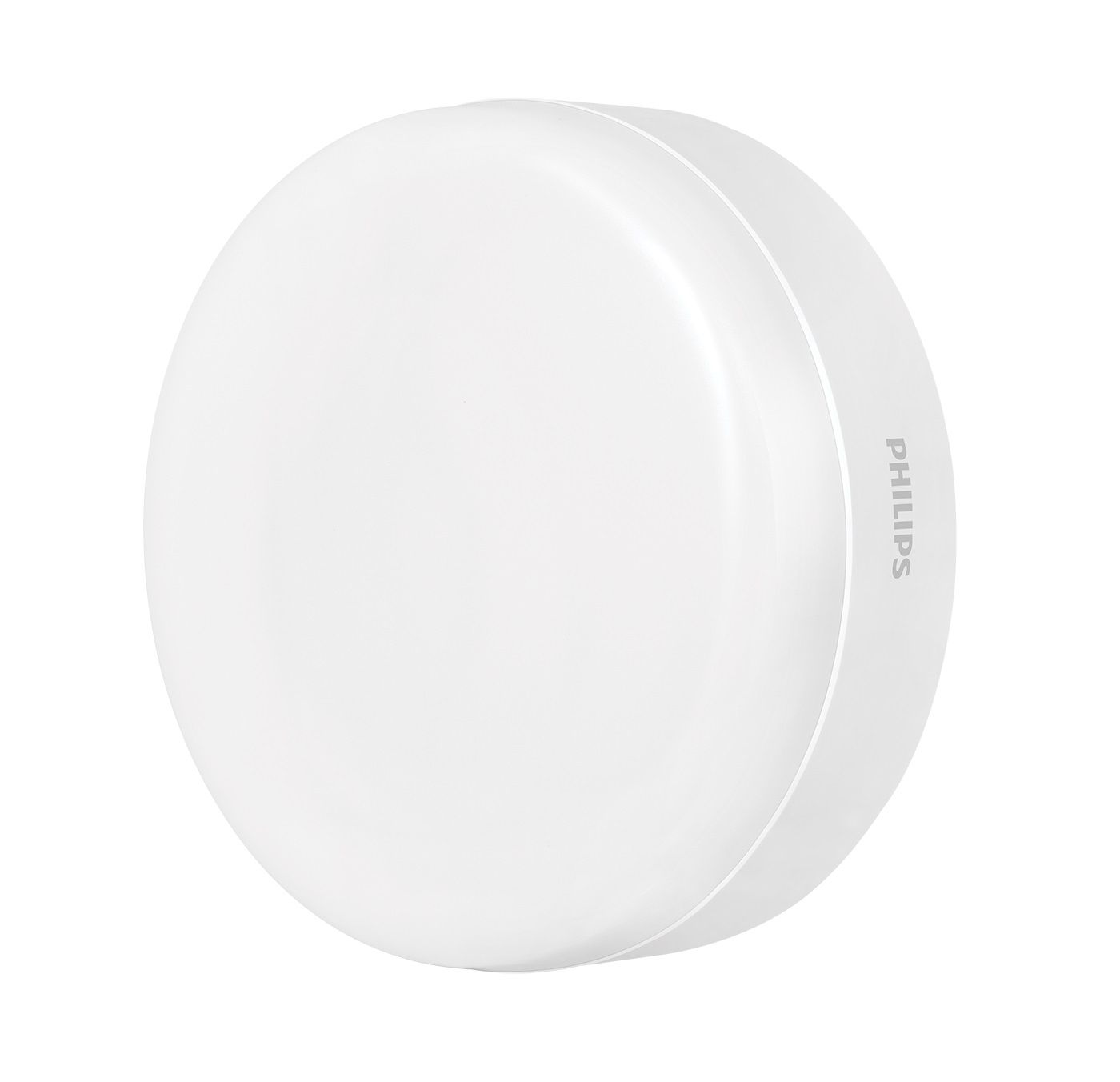 Functional Downlight Philips