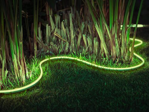 Ruban LED Philips Hue White Outdoor Lightstrip de 5 mètres pour maison  connectée - 37,5 W - Classe A+ - Philips Hue