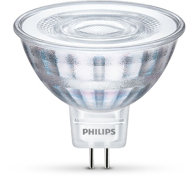 Philips LED Bulb 8718699675875