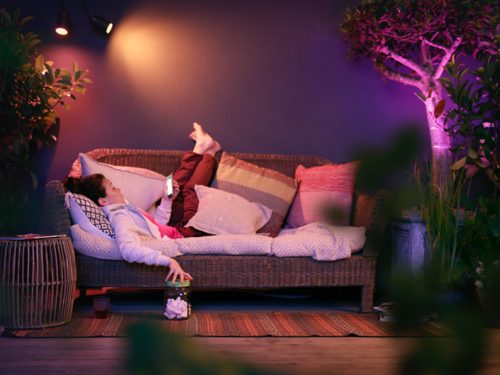 Shop Philips Hue Lily 3pack Spotlight & Hue Bridge at