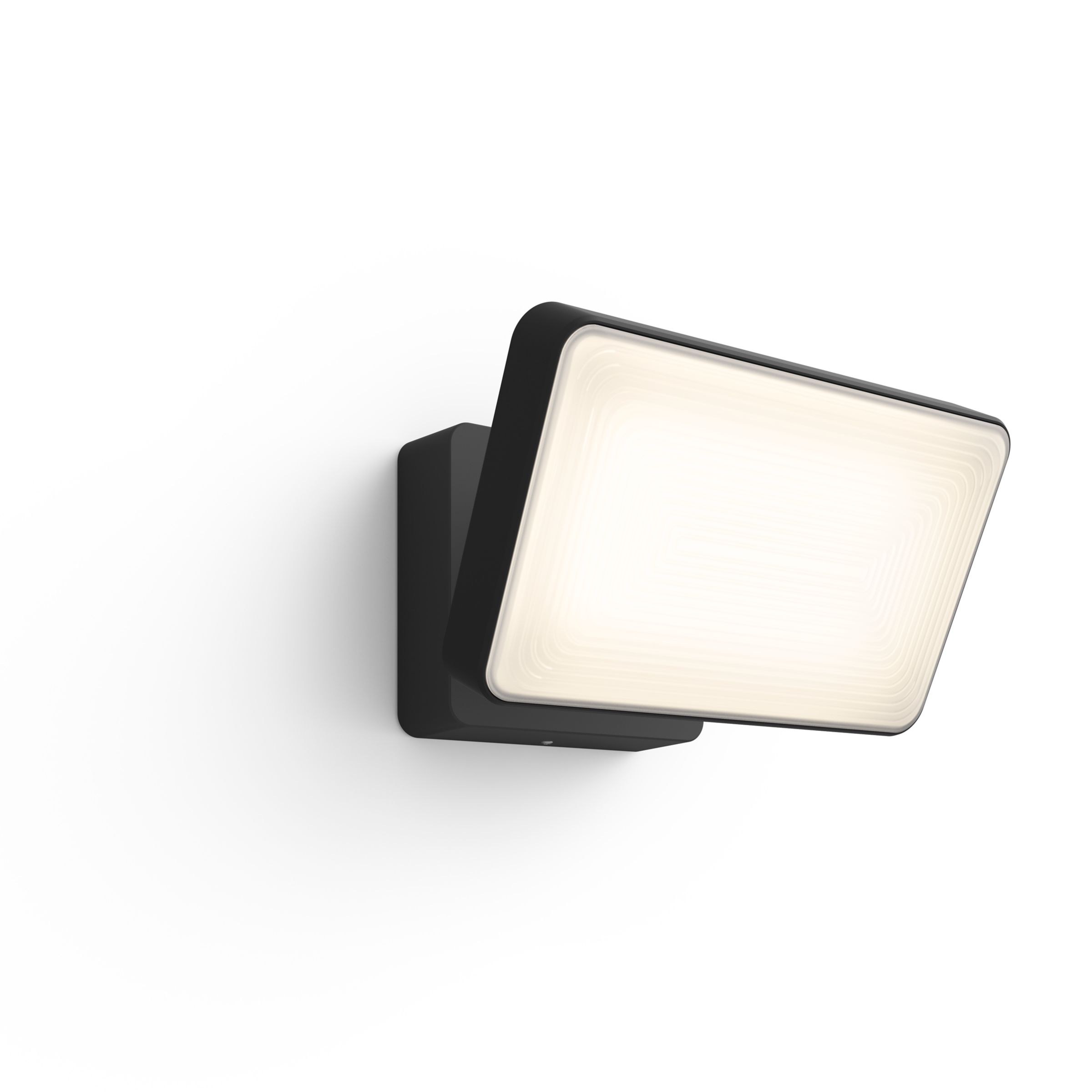 Hue Discover Outdoor LED Floodlight White and Colour Ambiance