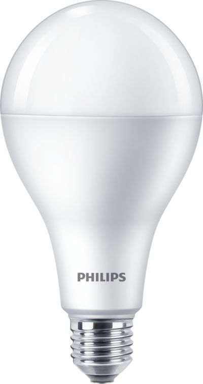 19w led light bulb