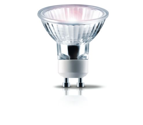 Philips halogen store light bulbs