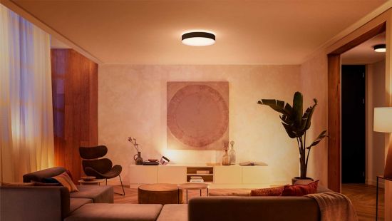 Philips ceiling store light hue