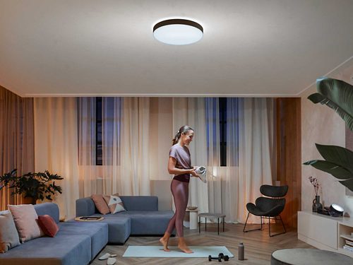 Philips Hue White Ambiance Plafonnier LED Adore 25 W avec variateur