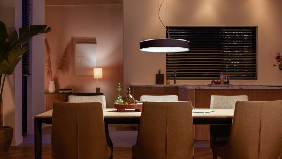 Hue pendant store lights