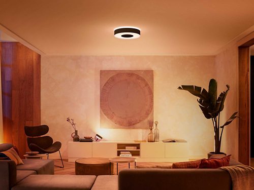 Infuse Hue ceiling lamp