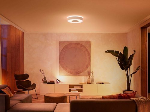 Philips Hue White and Color Ambiance Plafonnier Infuse Medium, Blanc,  compatible Bluetooth, fonctionne avec Alexa, Google Assistant et Apple  Homekit : : Luminaires et Éclairage