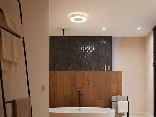 Philips hue deals bathroom ceiling light