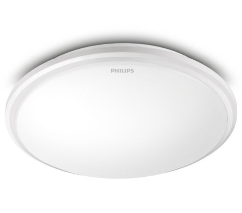 Ceiling Lightceiling Light