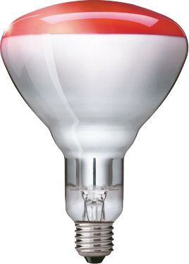 InfraRed Industrial Heat Incandescent, IINDIR