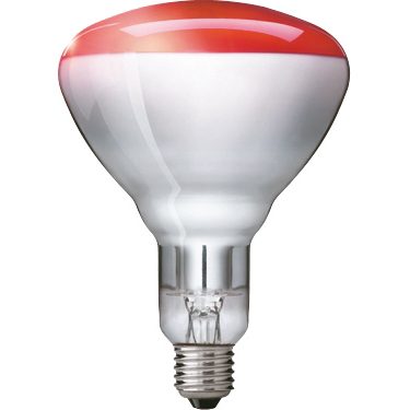 Lampada riscaldante a infrarossi rame 250 W luce rossa classic - Lampade  riscaldanti a infrarossi - Attrezzature per Cucina - Attività