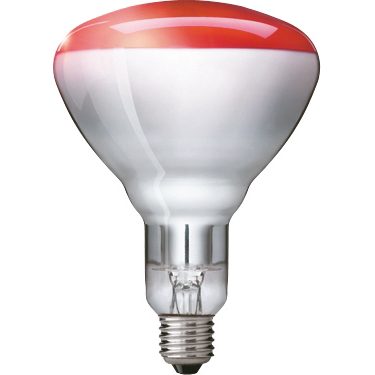 Use of infrared deals lamp