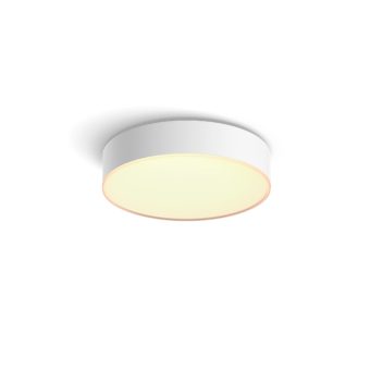 Philips hue deals light fixture