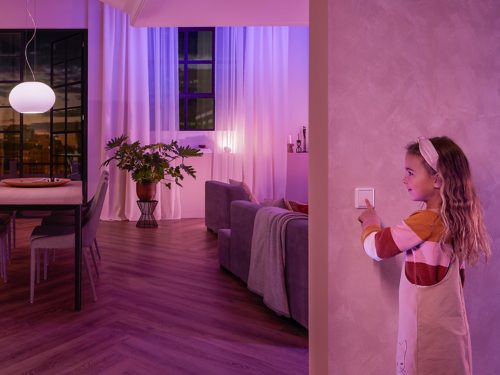 Philips Hue Dimmer Switch Plaque murale à bascule à 2 gangs imprimée en 3D  Couvre l'interrupteur d'éclairage 2g.cvr thue-hue -  France