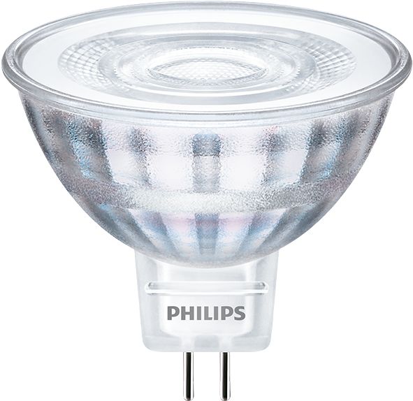 Projecteur LED sur rail monophasé spécial boulangeries - Driver Philips -  LED COB - 40W