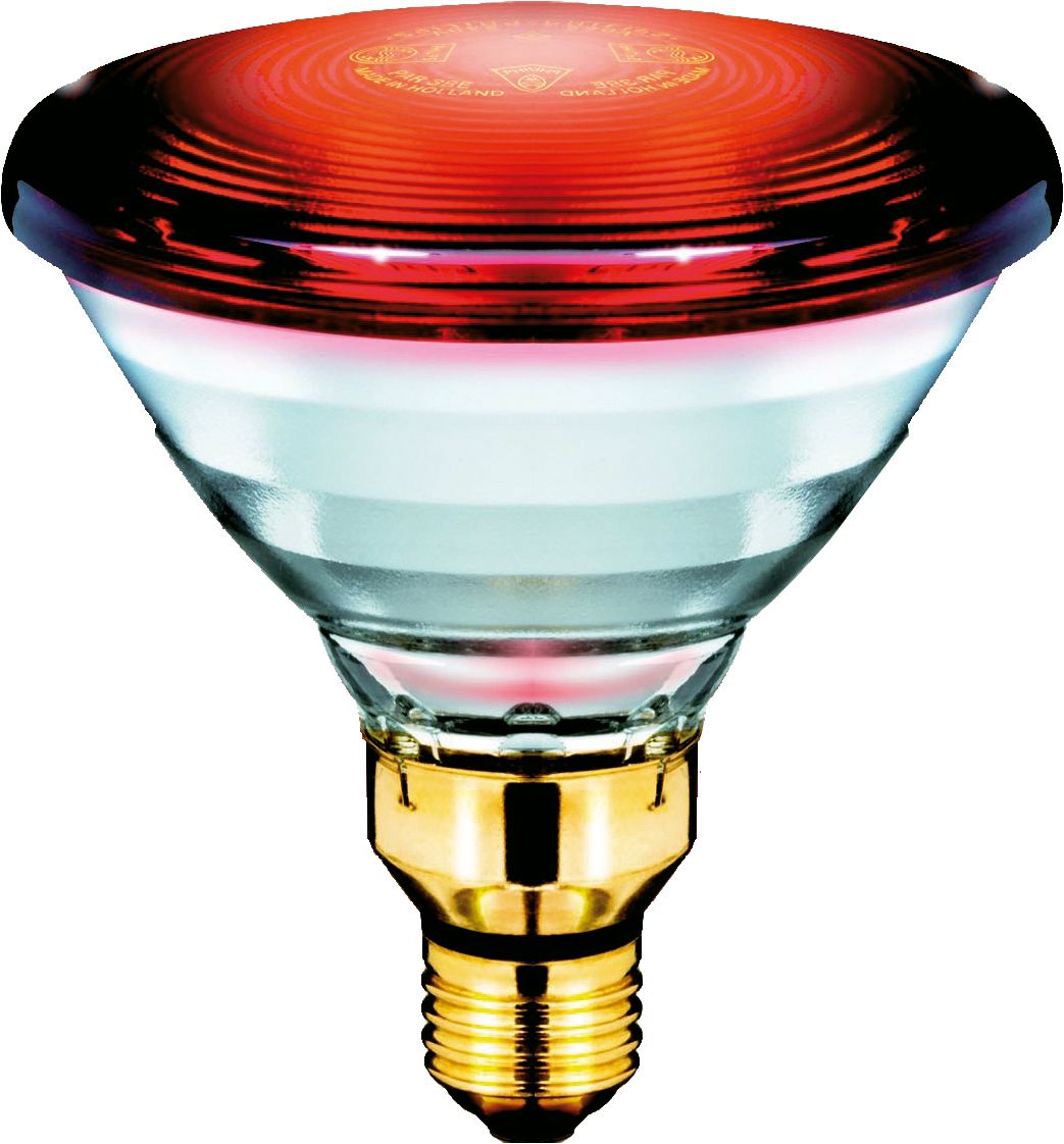 infrared lamp