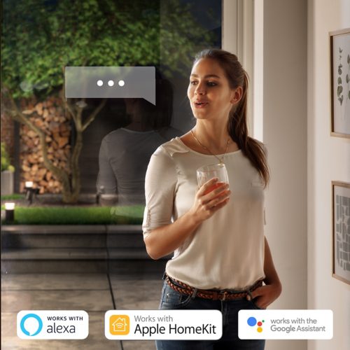 Appear US | Lantern Philips Hue LED Hue Wall Outdoor Light