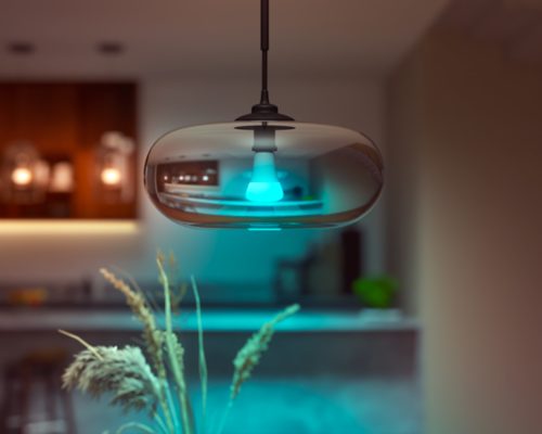 Philips Hue - Bombilla inteligente de alta luminosidad, 1600 lúm, ambiente  blanco y color, base A21, compatible c/Bluetooth/Zigbee (Hue Hub opcional)