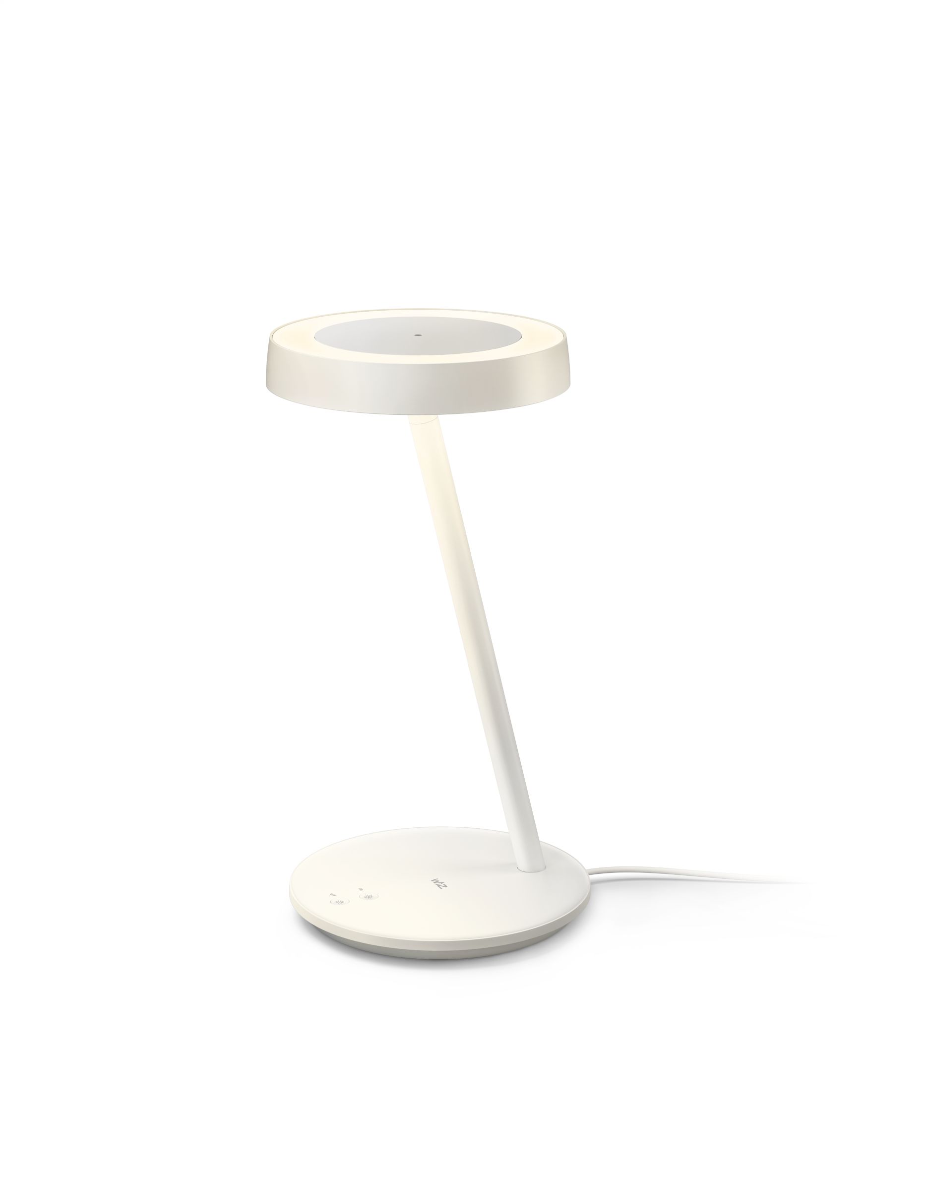 Portable Light Portrait Desk Lamp