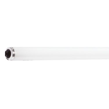 High output on sale fluorescent bulbs