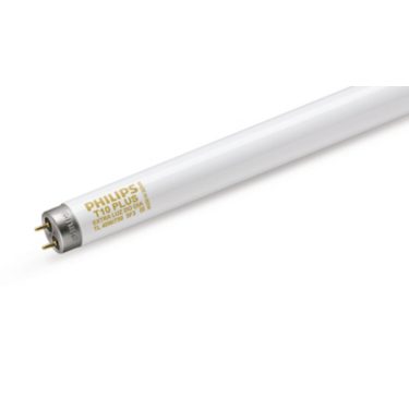 T10 shop fluorescent bulb