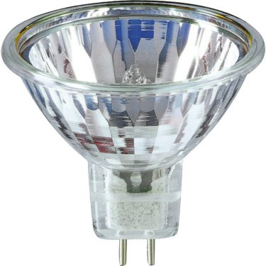 Globe deals halogen 50w