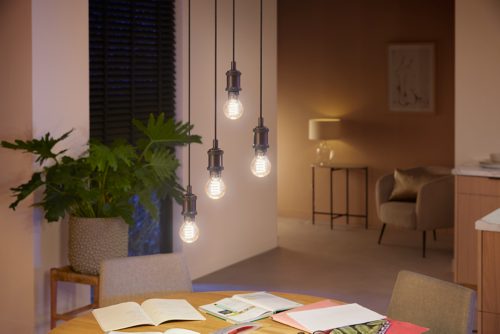 Philips Hue Triangle White and Colour Ambiance LED Smart Light Bulb [E27  Edison Screw] for Indoor Home Lighting. Bedroom, Livingroom and Dining.