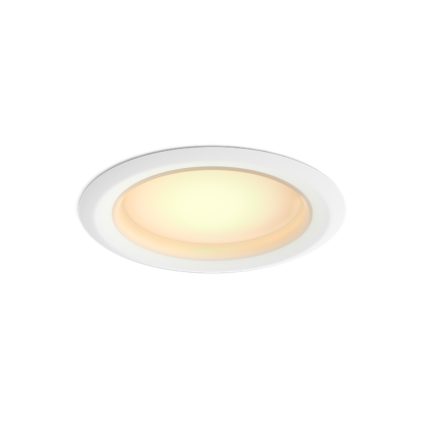 Hue White ambiance Downlight 4 inch