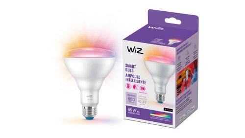 WiZ Color Changing 65-Watt EQ BR30 Full Spectrum E26 Dimmable Smart LED  Light Bulb in the General Purpose Light Bulbs department at