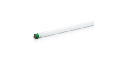 Tube fluorescent