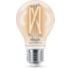 Smart LED Filament Bulb clear 7W (Eq.60W) A60 E27