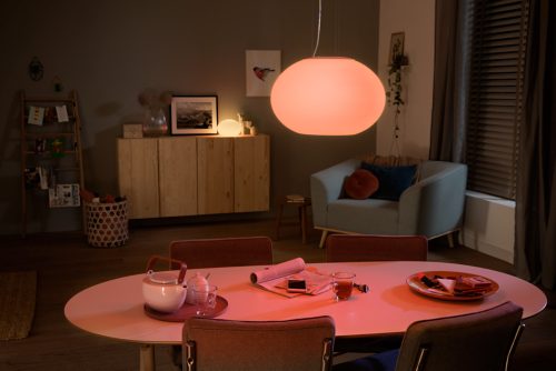 Philips hue white and store color ambiance flourish