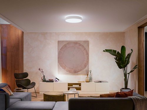 Philips hue white ambiance Enrave store L ceiling light