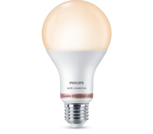 Philips LED Lampadina LED, Luce Bianca Fredda, 100W, E27, 6 Pezzi :  : Illuminazione