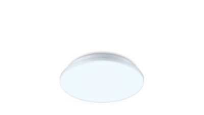 Ceiling Lights Ceiling Light 20W