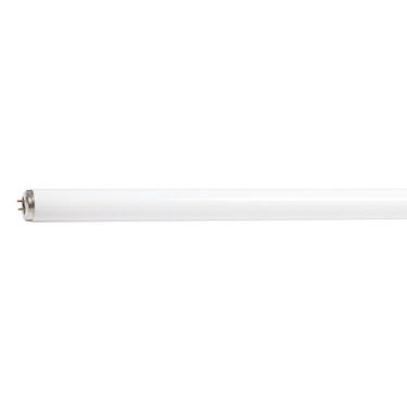 F14t12 fluorescent outlet bulb