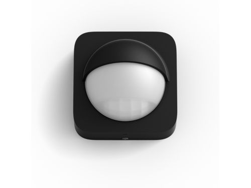 Hue Motion sensor