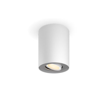 Hue White Ambiance Ext. spot unique Pillar