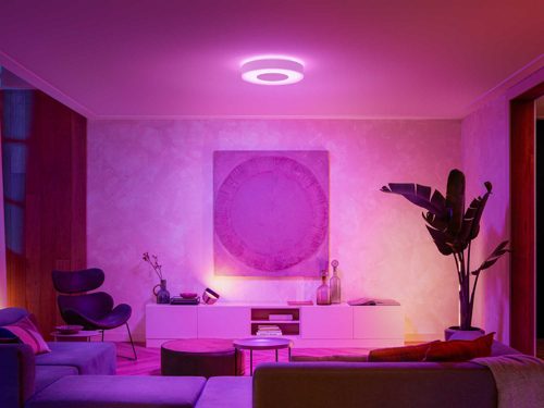 Regelen uitlokken makkelijk te gebruiken Hue White and color ambiance Infuse Hue ceiling lamp | Philips Hue US