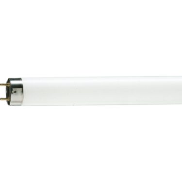 Lámpara Fluorescente Philips 36W TDL/54 Luz Fría