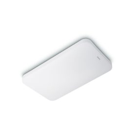 Apex Ceiling light