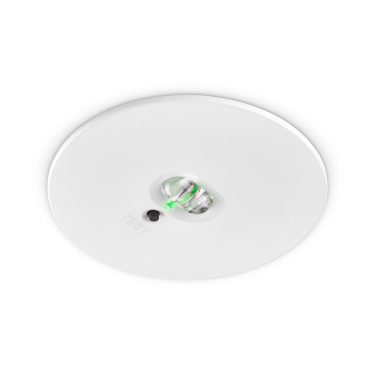 Downlight emergency online