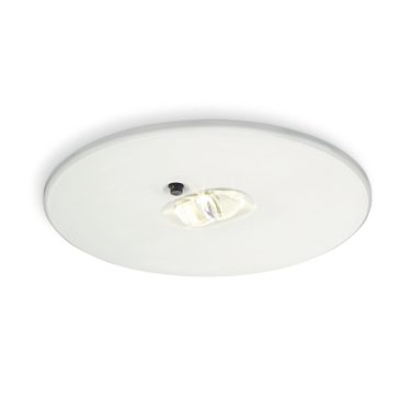 Downlight emergency deals