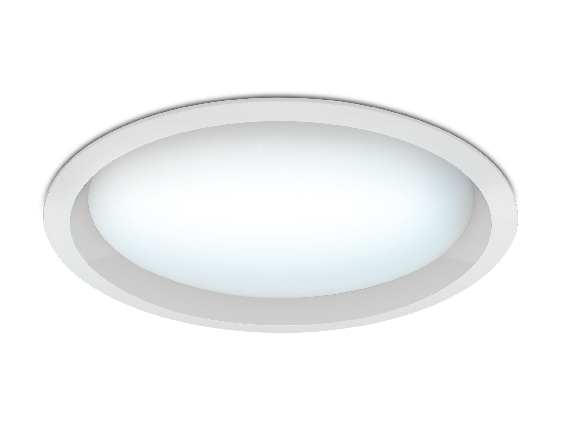 DN 393B LED 12S-6500 PSD WH | 919515810464 | Philips lighting