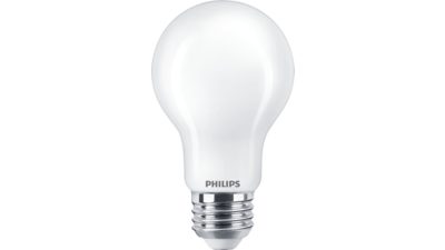 LED Filament Bulb Frosted 100W A19 E26