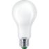 LED 燈絲型燈泡霧面 100W A70 E27
