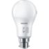 LED Bulb 100W A60 B22