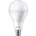 LED Bulb 155W A80 B22