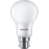 LED Bulb 55W A60S B22
